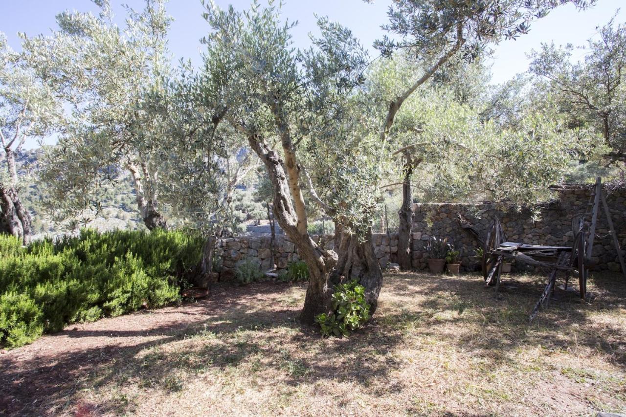 Villa Es Coco, Soller Port De Soller Exterior photo