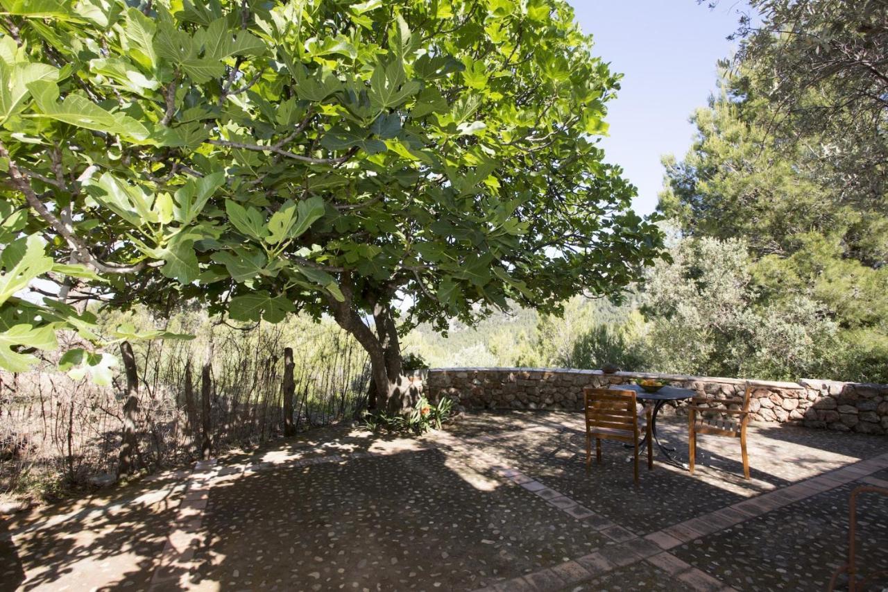 Villa Es Coco, Soller Port De Soller Exterior photo